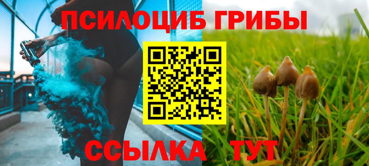 Псилоцибиновые грибы ЛСД Сафоново