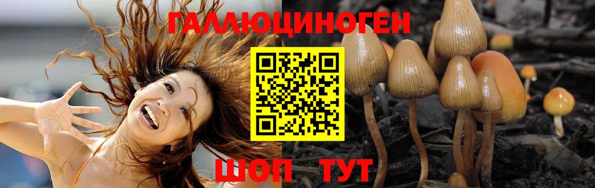 Галлюциногенные грибы мухоморы  Вход с VPN  Сафоново 